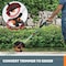 Worx GT 3.0 20V Power Share 12 in. Cordless String Trimmer and Edger, 2 Batteries and 1 Charger Included WG163 - alternate 3
